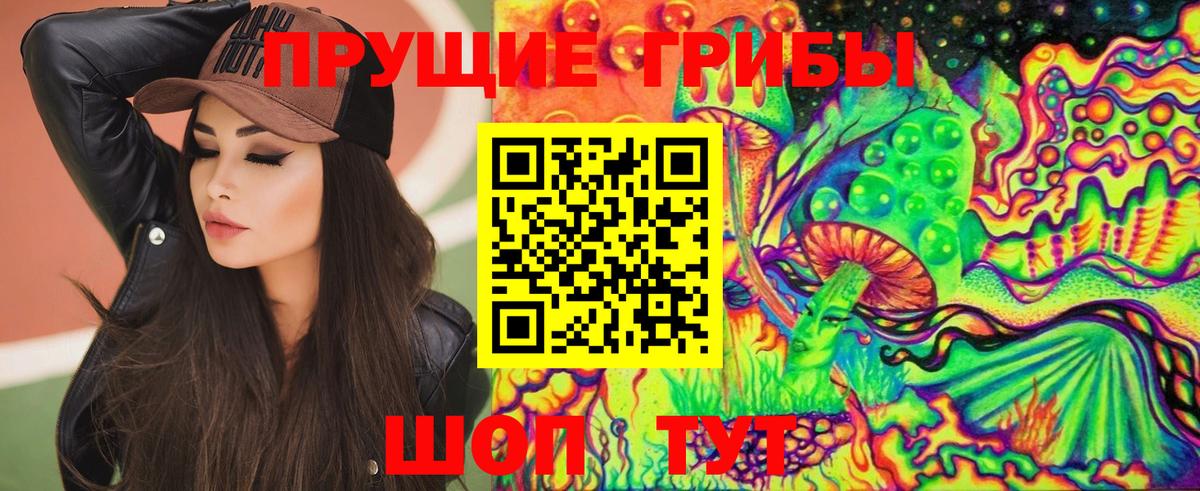 Галлюциногенные грибы Psilocybe Анапа