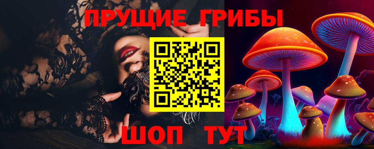 Псилоцибиновые грибы Cubensis  Вход с VPN  Псилоцибиновые грибы мухоморы  Анапа 